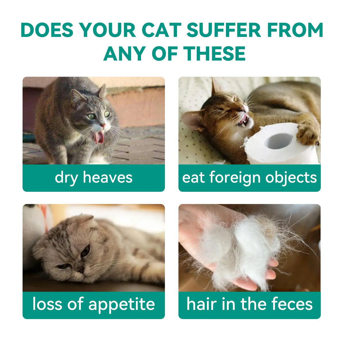 Pethealer Hairball Reduction and Digestive Aid Treats, 100g.