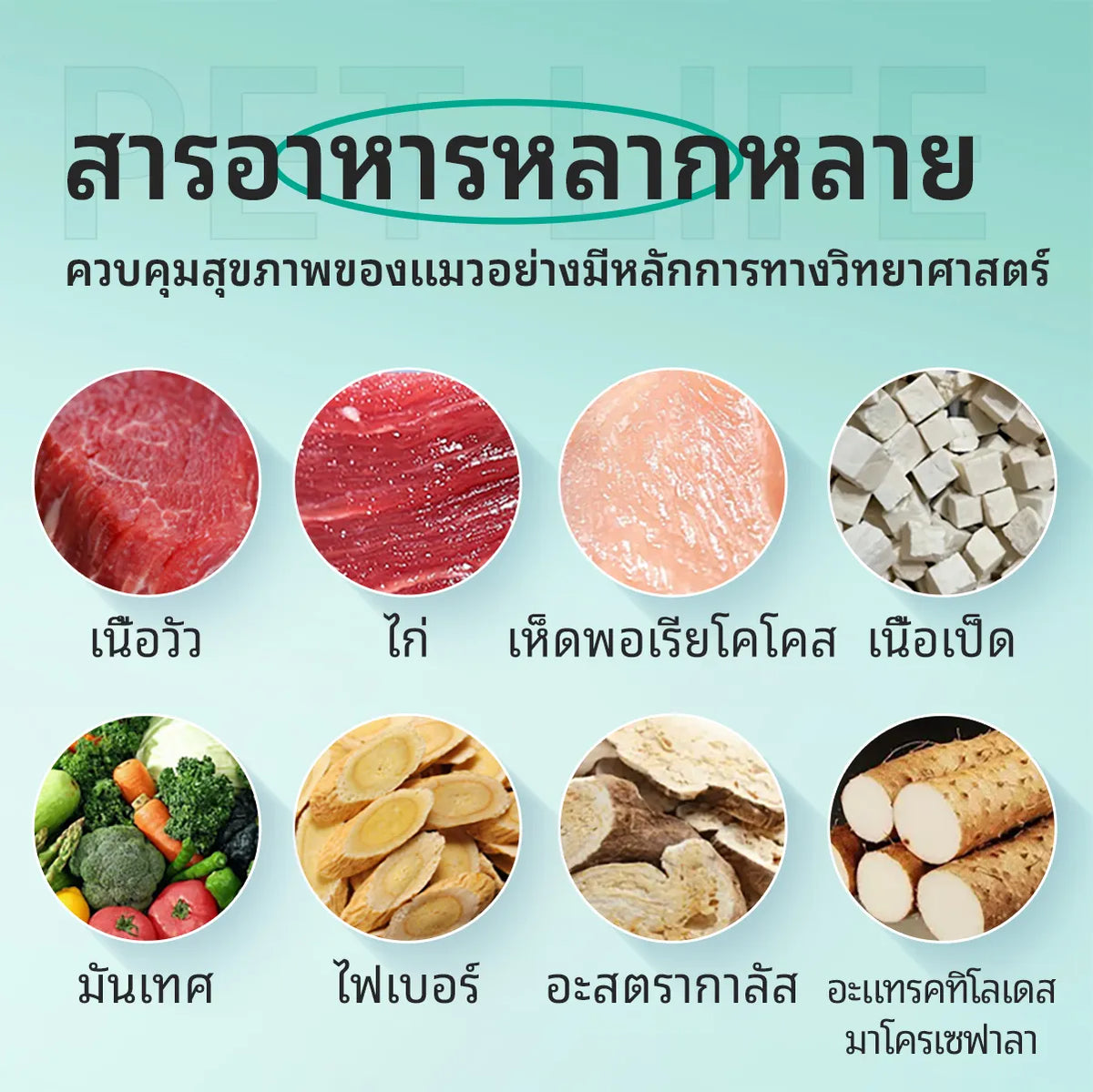 PETHEALER Happy Snacks ขนมเม็ดดูแลอารมณ์สำหรับสุนัขและแมว ช่วยผ่อนคลายในช่วงติดสัด