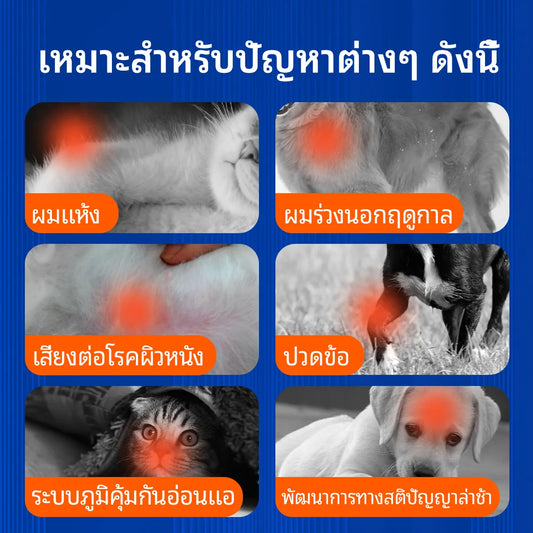 Pethealer น้ำมันปลาโอเมก้า เสริมสุขภาพผิวหนังและขน