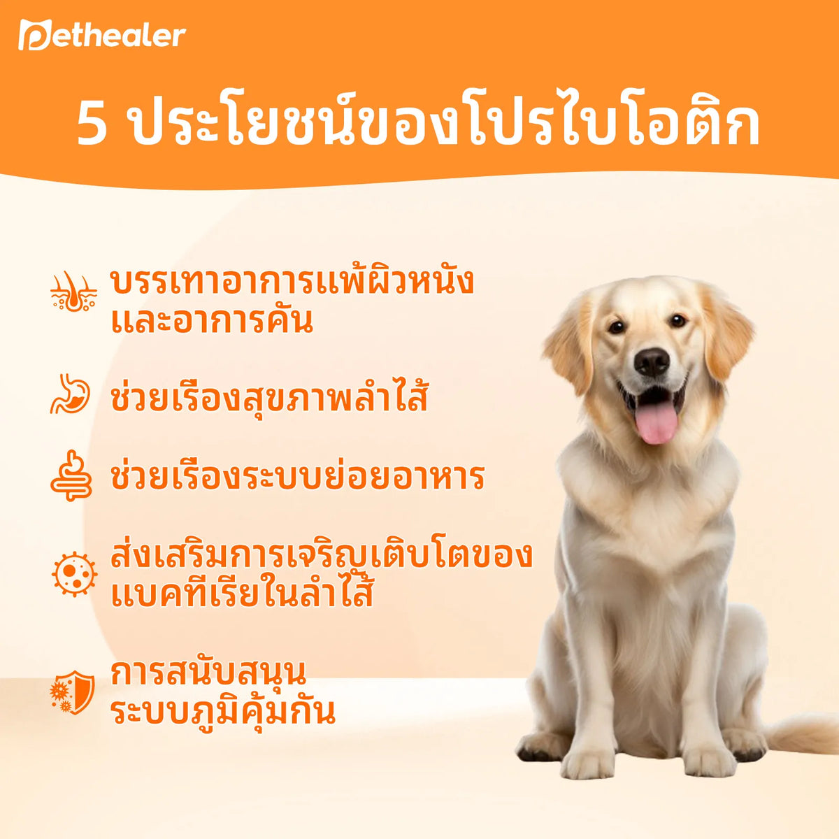 Pethealer White Powder Probiotic with Milk Flavor for Dogs & Cats