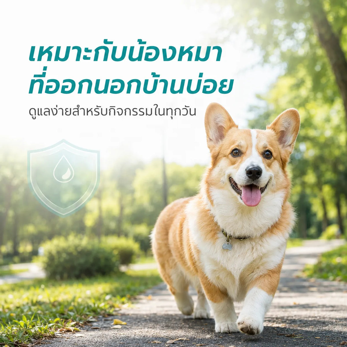 Pethealer Fipronil ยาหยดกำจัดเห็บหมัด สำหรับสุนัขและแมว