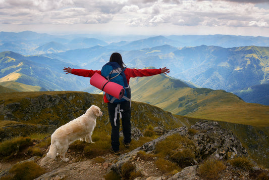 How to travel with your pet without bringing fleas home.