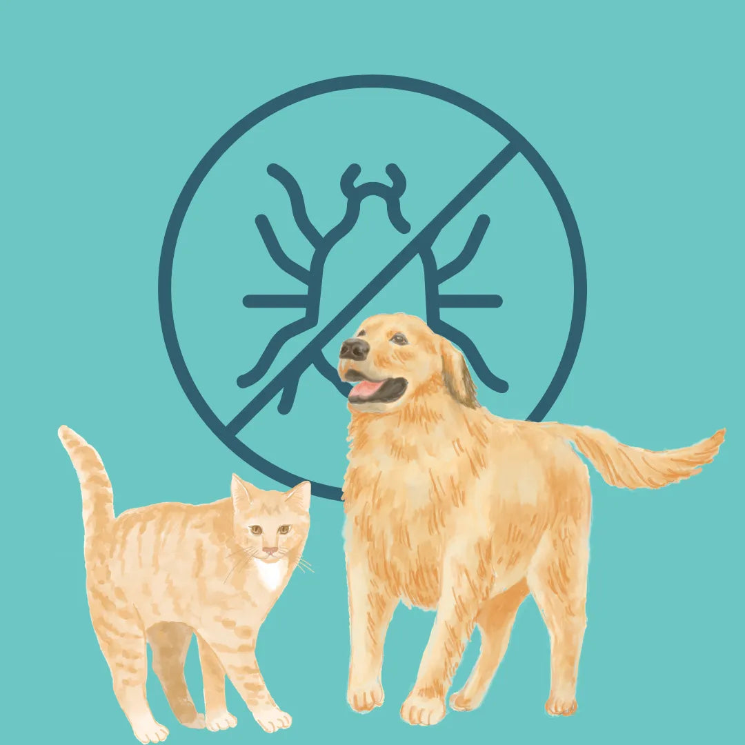 Parasite Protection