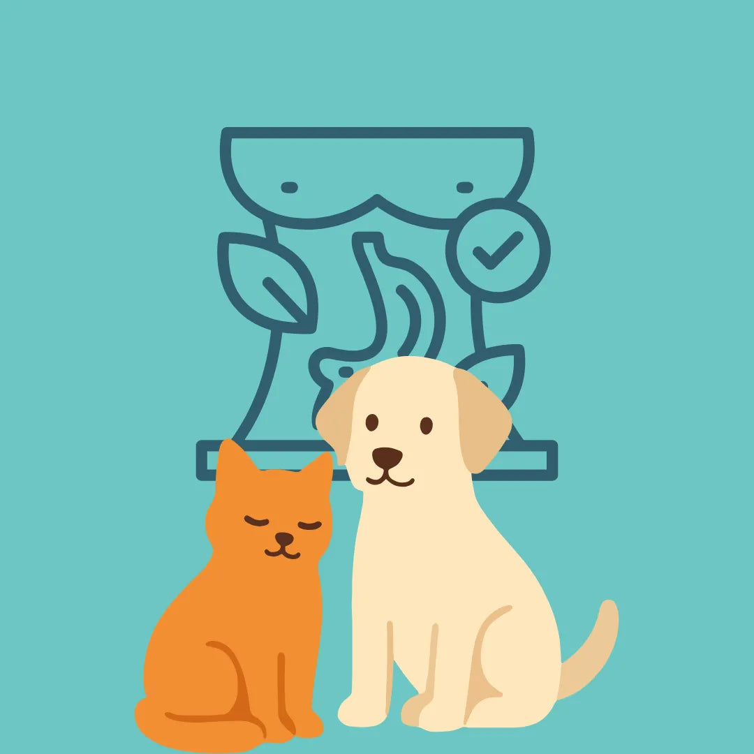 Gut Health Support