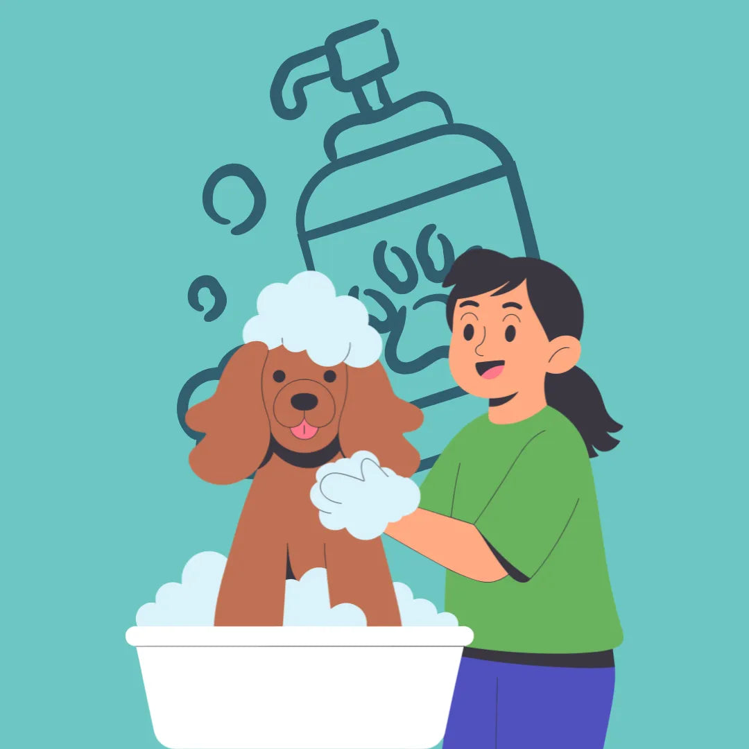 Skin & Coat Health
