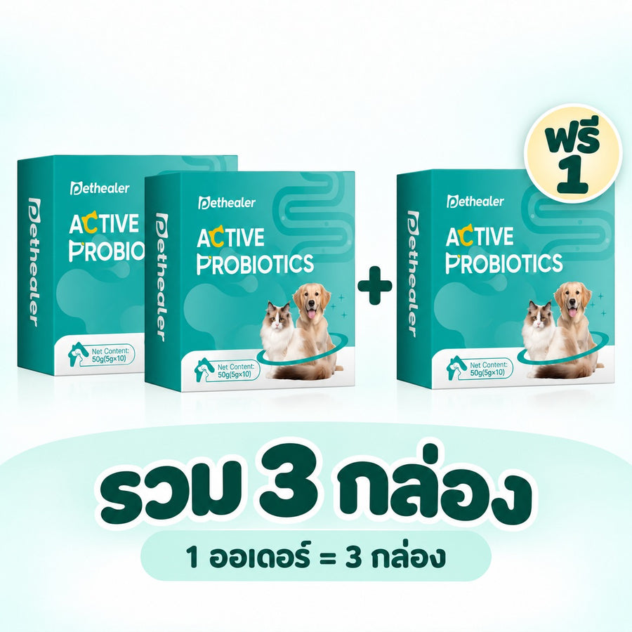 Pethealer โปรไบโอติกสุนัขและแมว ดูแลลำไส้ทุกวัน｜ซื้อ 2 แถม 1