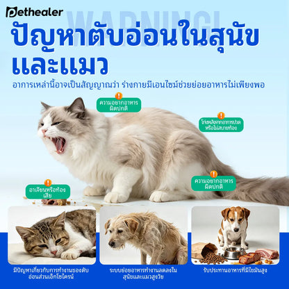 Pethealer Digestive Enzyme Tablets for Dogs & Cats 100g