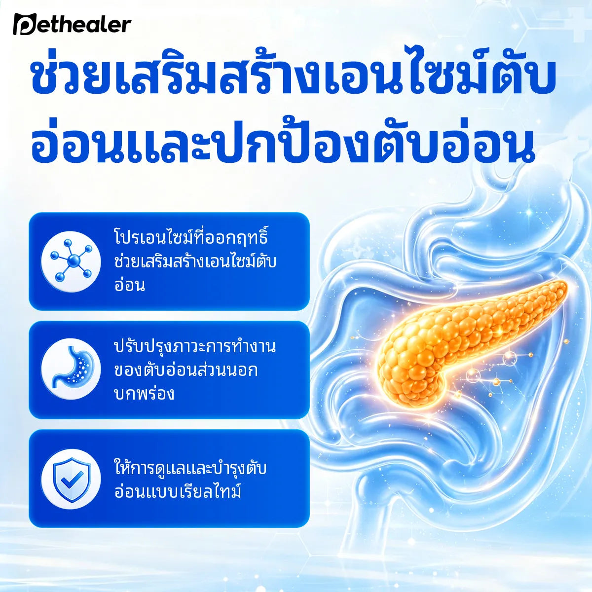 Pethealer Digestive Enzyme Tablets for Dogs & Cats 100g