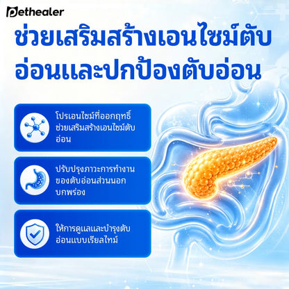 Pethealer Digestive Enzyme Tablets for Dogs & Cats 100g
