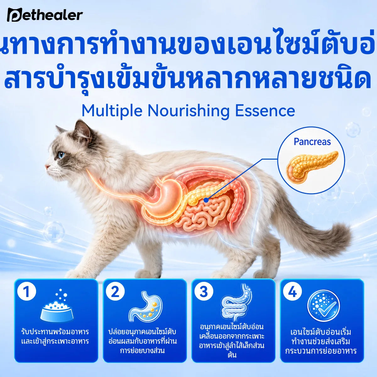 Pethealer Digestive Enzyme Tablets for Dogs & Cats 100g
