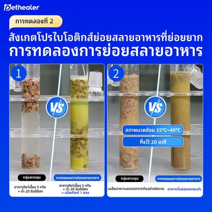 Pethealer Active Compound Probiotics - Công thức mới, Probiotic kết hợp vitamin dành cho chó và mèo