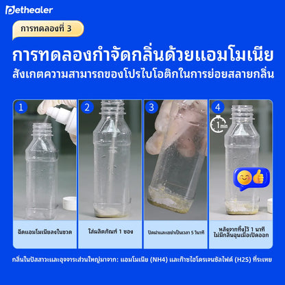 Pethealer Active Compound Probiotics - Công thức mới, Probiotic kết hợp vitamin dành cho chó và mèo