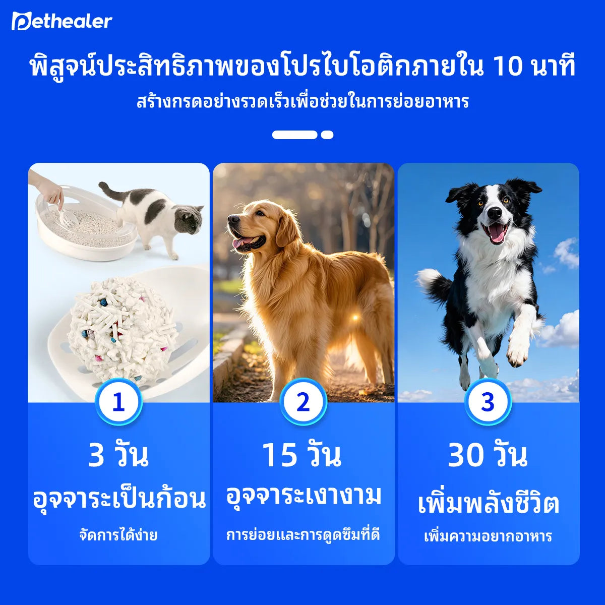 Pethealer Active Compound Probiotics - Công thức mới, Probiotic kết hợp vitamin dành cho chó và mèo