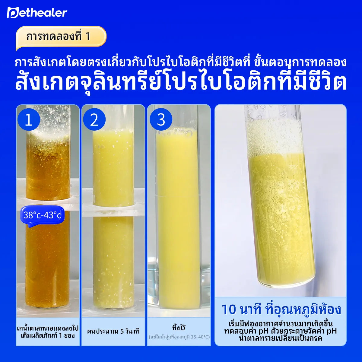 Pethealer Active Compound Probiotics - Công thức mới, Probiotic kết hợp vitamin dành cho chó và mèo