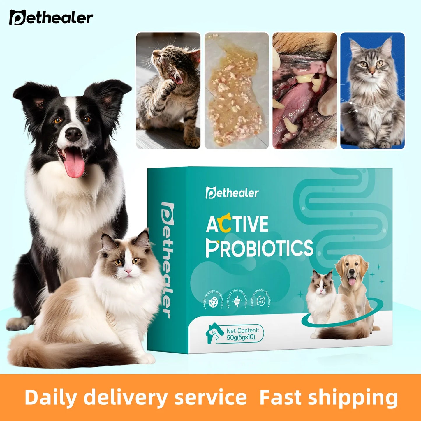Pethealer Advanced Probiotic Formula – Digestive Health Support for Dogs & Cats