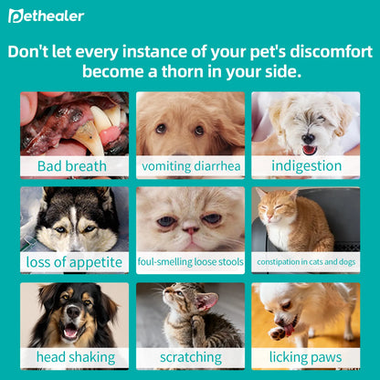 Pethealer Advanced Probiotic Formula – Digestive Health Support for Dogs & Cats