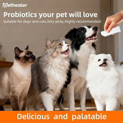 Pethealer Advanced Probiotic Formula – Digestive Health Support for Dogs & Cats