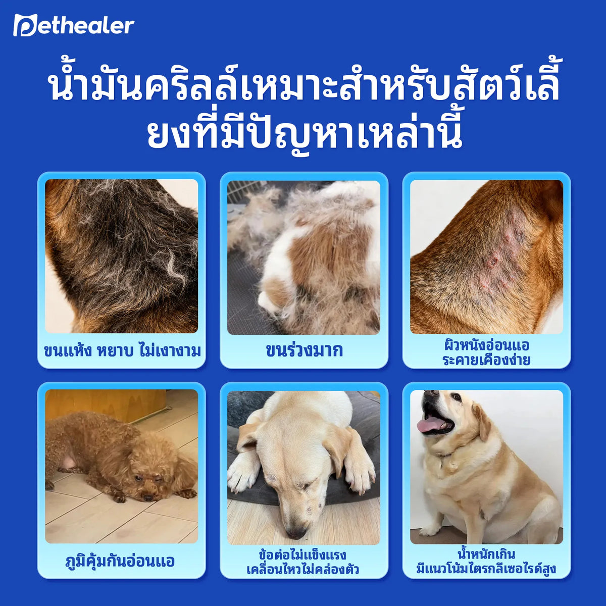 Pethealer Antarctic Krill Oil Tablets for Dogs & Cats