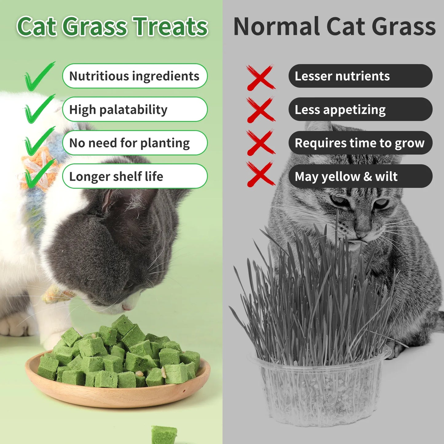 Pethealer Chicken & Salmon Freeze-Dried Cat Grass Bites for Cats – 60g