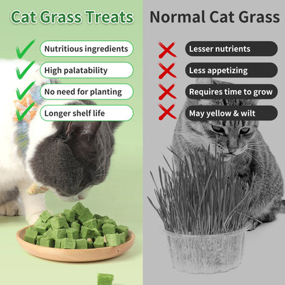 Pethealer Chicken & Salmon Freeze-Dried Cat Grass Bites for Cats – 60g