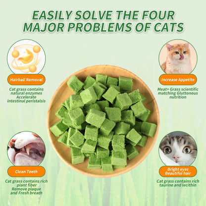 Pethealer Chicken & Salmon Freeze-Dried Cat Grass Bites for Cats – 60g