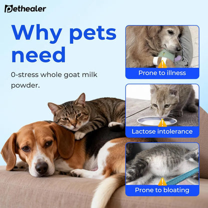Pethealer Goat Milk Powder for Dogs & Cats
