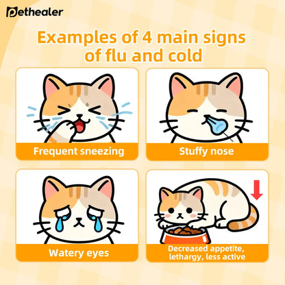 Pethealer Immune Support Powder for Cats During Recovery, 50g