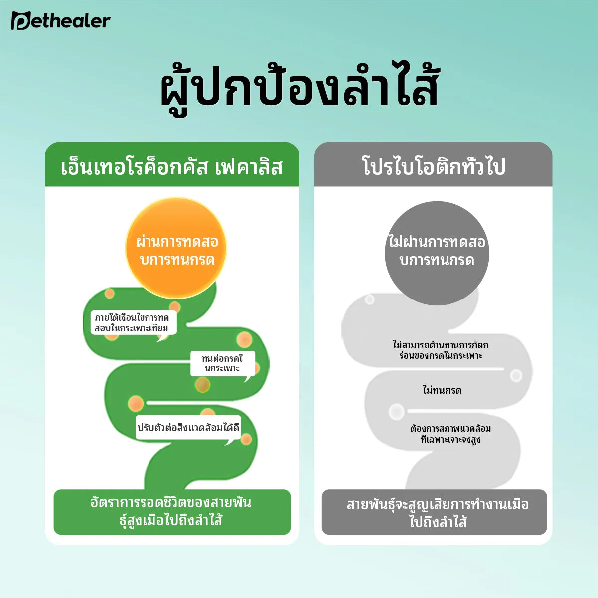 Pethealer Probiotic Tablets for Dogs & Cats