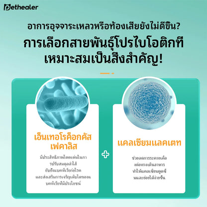 Pethealer Probiotic Tablets for Dogs & Cats