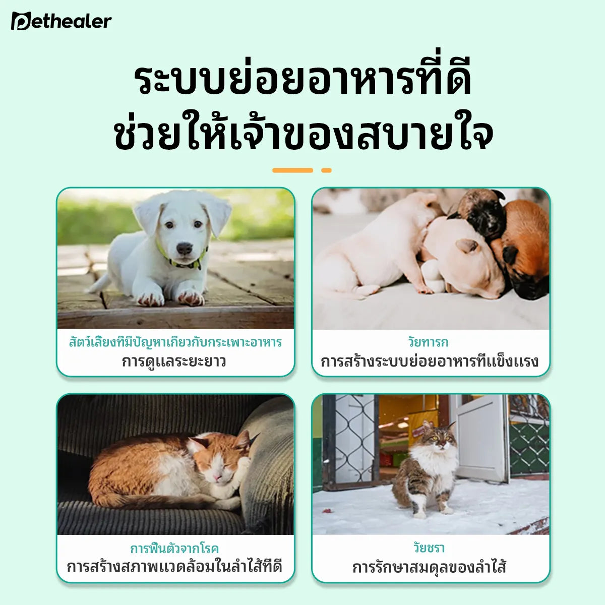Pethealer Probiotic Tablets for Dogs & Cats