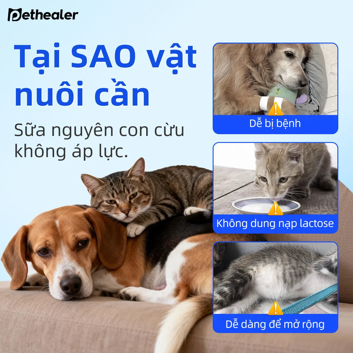 Pethealer Goat Milk for Pets supports body and immunity for cats and dogs