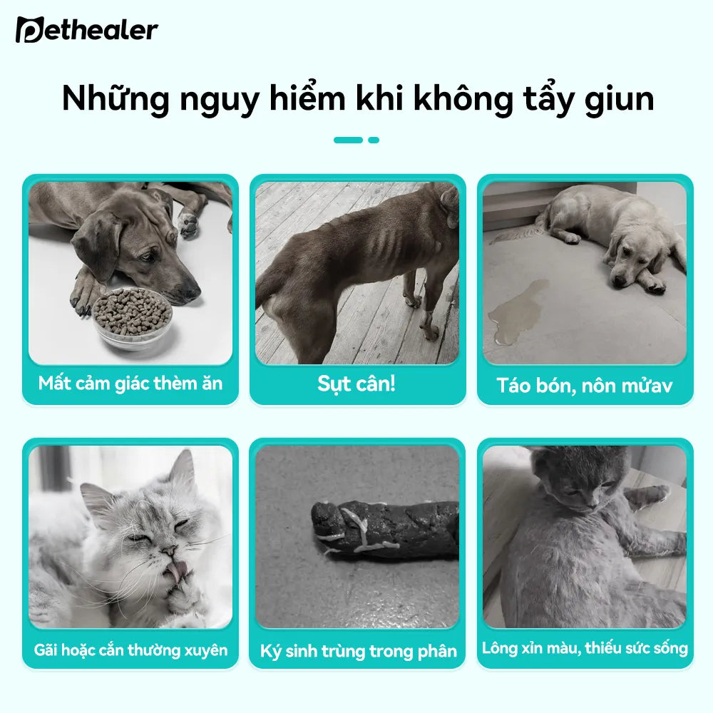 Pethealer Viên Thưởng Chăm Sóc Ký Sinh Trùng Ngoài Da Công Thức Bảo Vệ