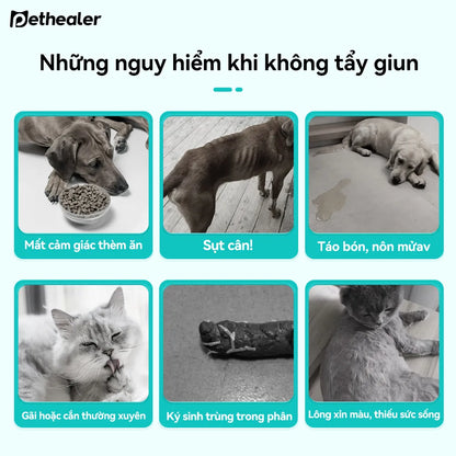 Pethealer Viên Thưởng Chăm Sóc Ký Sinh Trùng Ngoài Da Công Thức Bảo Vệ