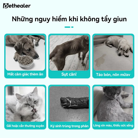 Pethealer Viên thưởng chăm sóc ký sinh trùng ngoài da công thức bảo vệ 100g