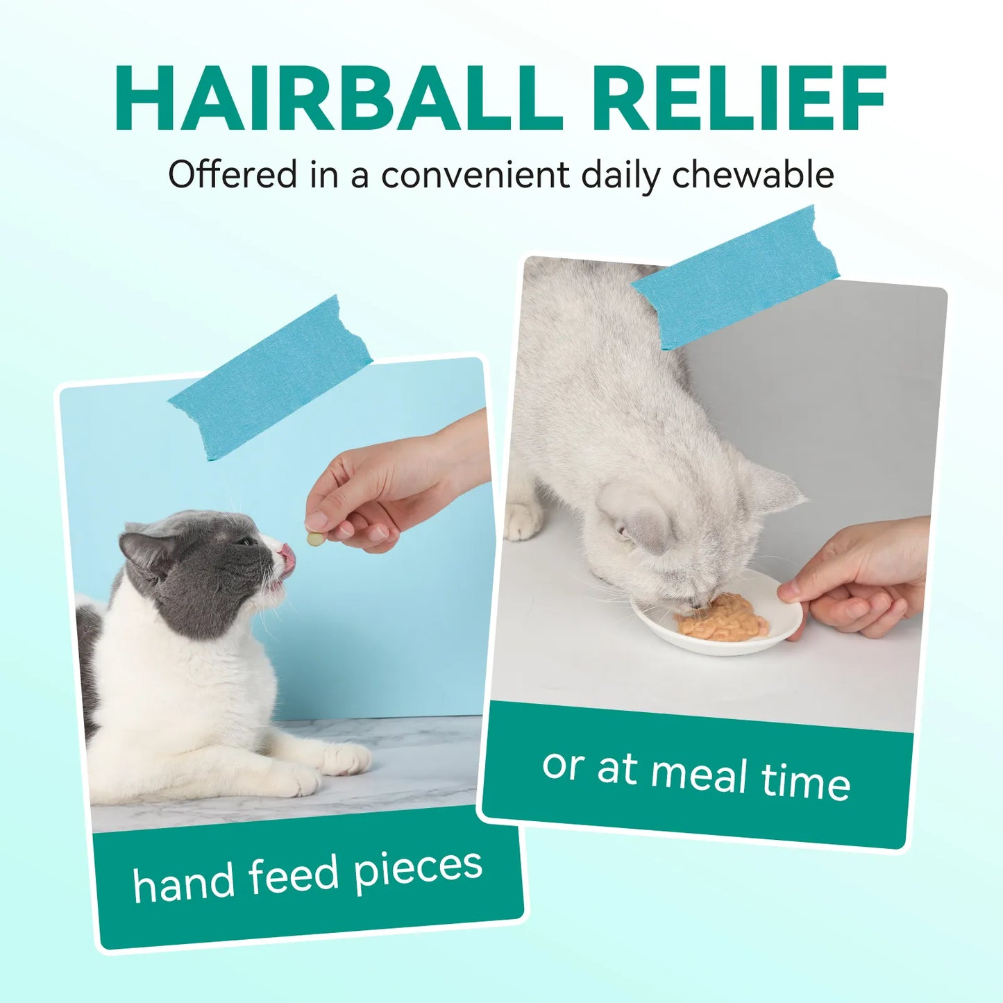 Pethealer Hairball Control & Digestive Support Treats, 100g