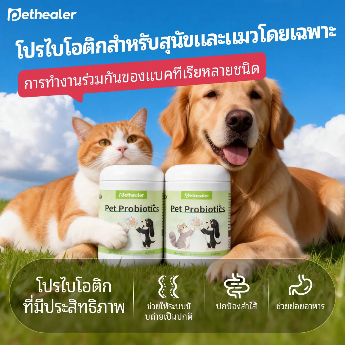 Pethealer ขนมโปรไบโอติก ช่วยการย่อยและลำไส้ 300g