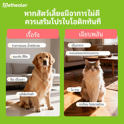 Pethealer ขนมโปรไบโอติก ช่วยการย่อยและลำไส้ 300g