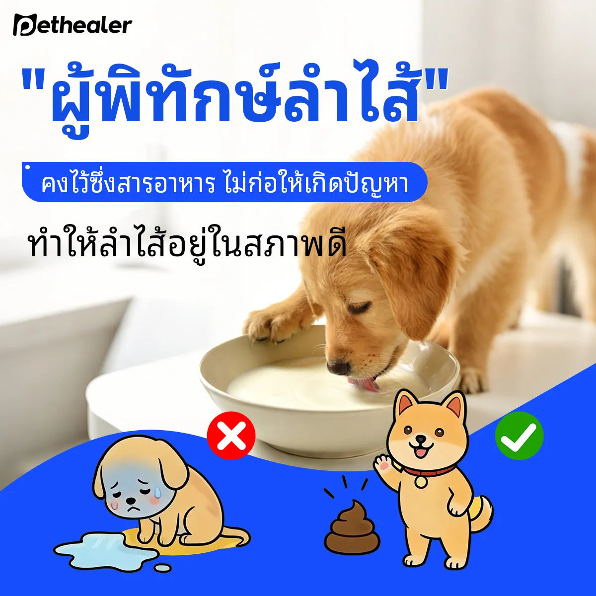 Sữa dê Pethealer dành cho thú cưng giúp bồi bổ cơ thể và tăng cường miễn dịch cho chó mèo.
