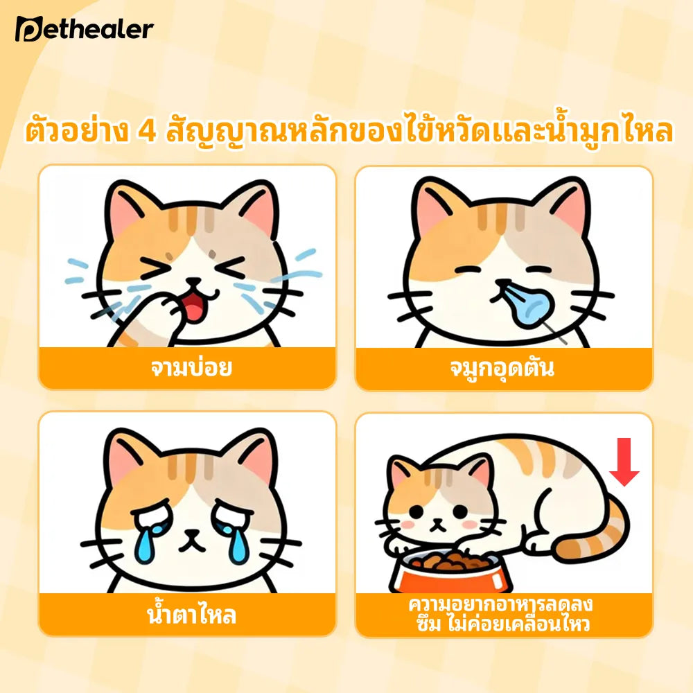 Pethealer ผงเสริมภูมิคุ้มกัน ช่วงไม่สบาย