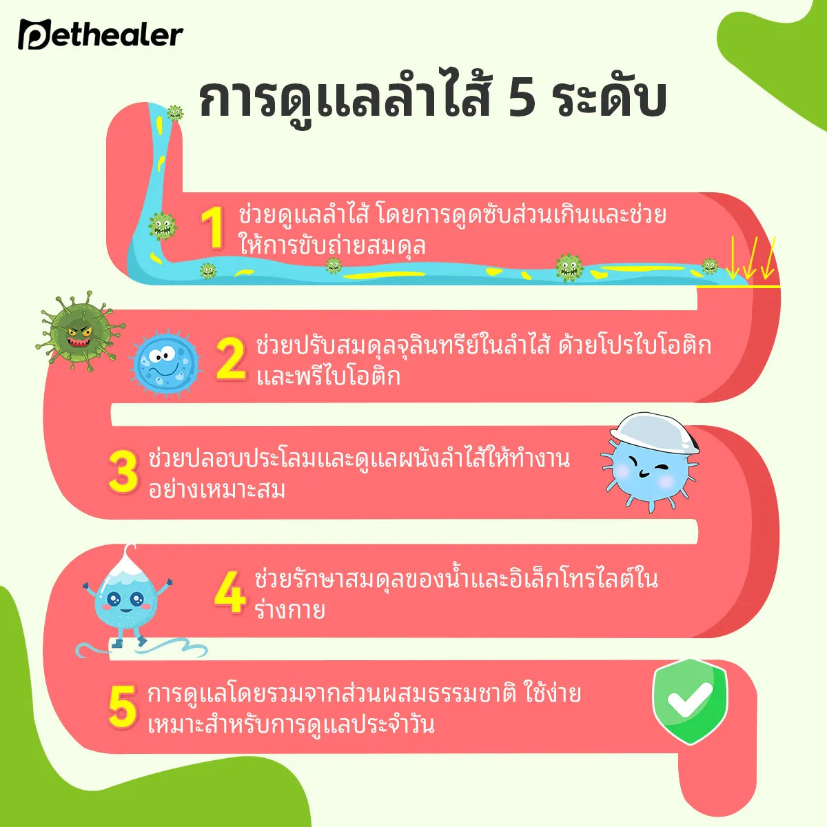 Pethealer ขนมโปรไบโอติก ช่วยการย่อยและลำไส้ 300g