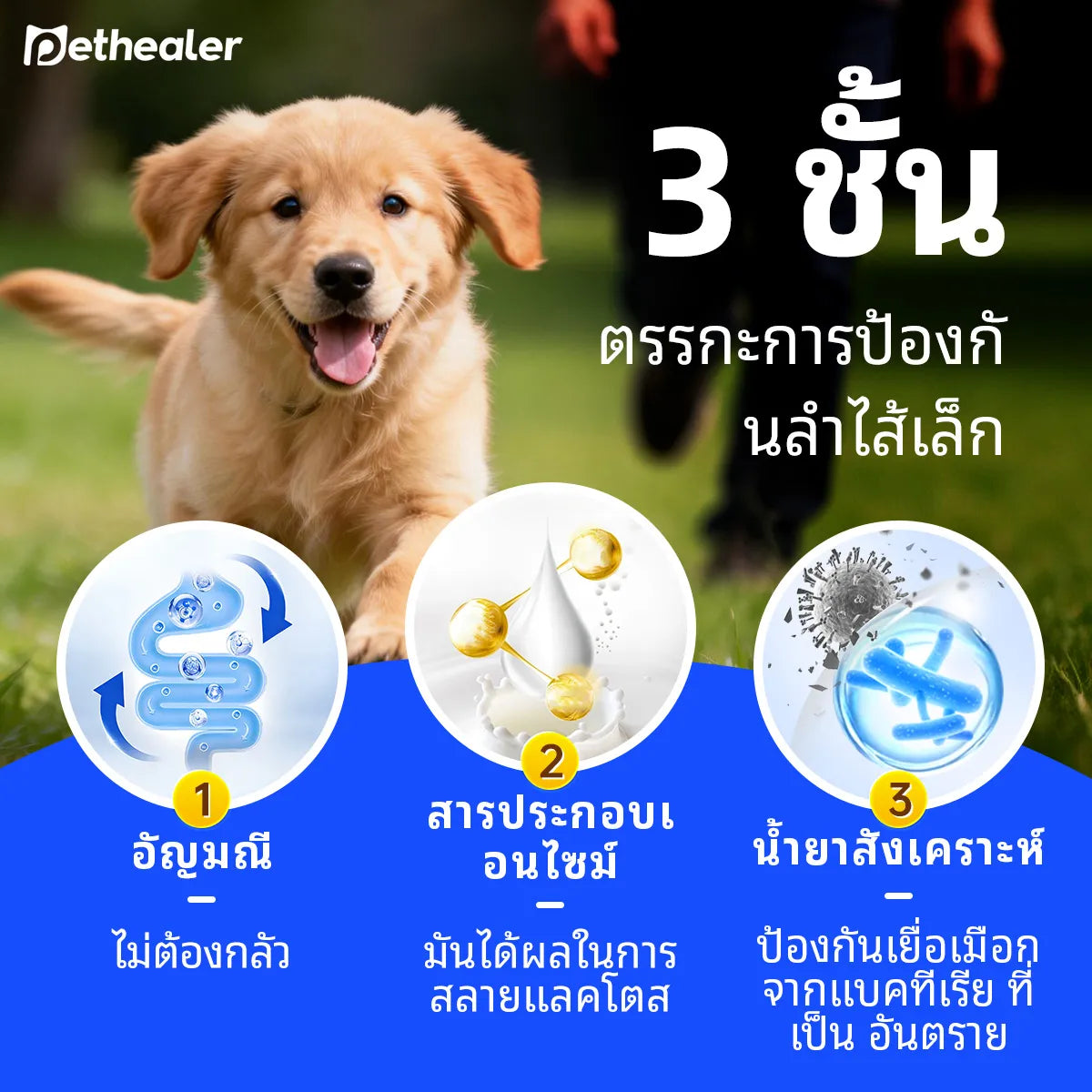 Sữa dê Pethealer dành cho thú cưng giúp bồi bổ cơ thể và tăng cường miễn dịch cho chó mèo.
