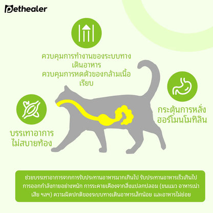 Pethealer ขนมโปรไบโอติก ช่วยการย่อยและลำไส้ 300g