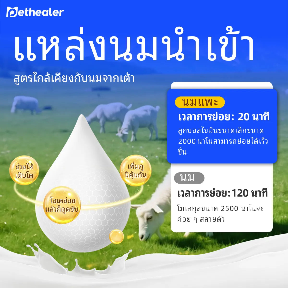 Sữa dê Pethealer dành cho thú cưng giúp bồi bổ cơ thể và tăng cường miễn dịch cho chó mèo.