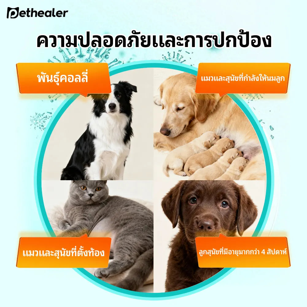 Pethealer ขนมเม็ดดูแลปรสิตภายนอก สูตรปกป้อง