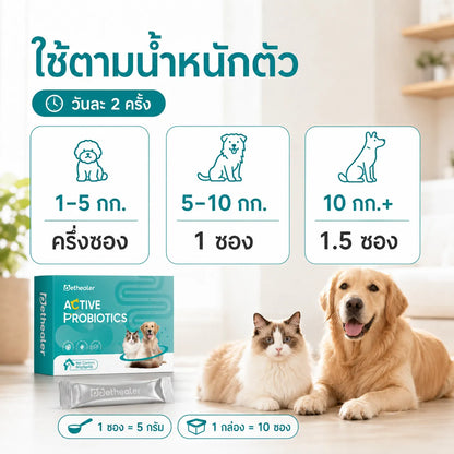 Pethealer โปรไบโอติกสูตรผสม เพื่อสุขภาพลำไส้ สำหรับสุนัขและแมว