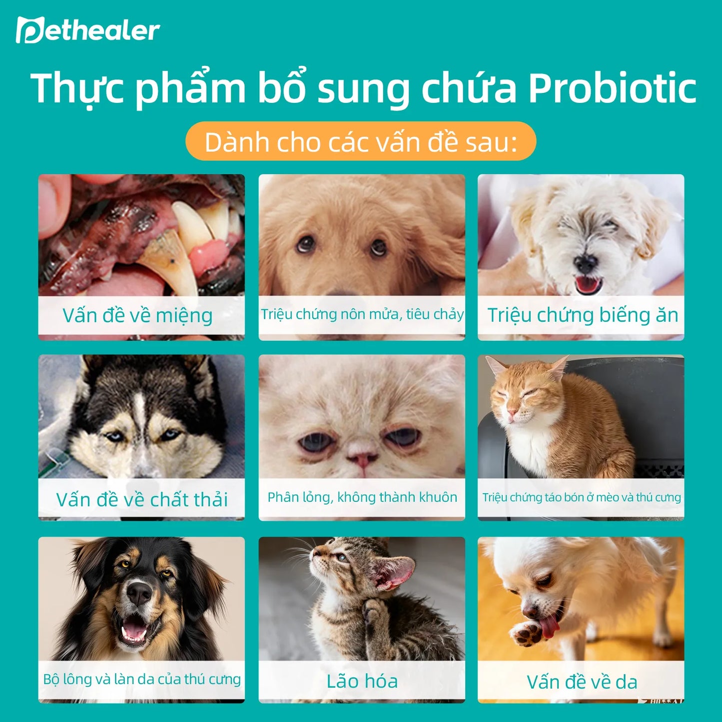 Pethealer Probiotic Formula for Dog and Cat Gut Health