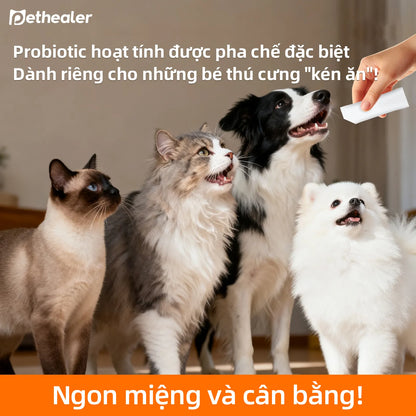 Pethealer Probiotic Formula for Dog and Cat Gut Health