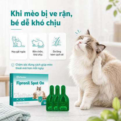 Thuốc nhỏ trị bọ chét và ve Pethealer Fipronil dành cho mèo.
