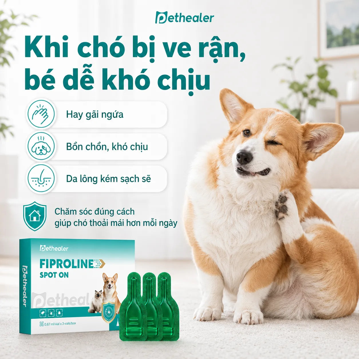 pethealer Thuốc nhỏ gáy diệt ve và bọ chét cho chó Fipronil
