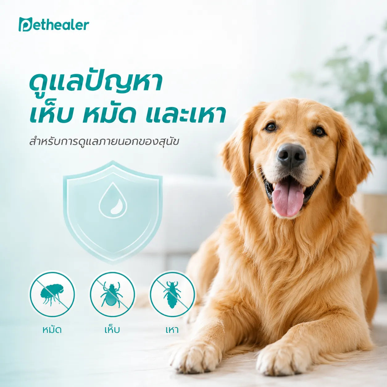 pethealer ยาหยดกำจัดเห็บหมัดสุนัข Fipronil
